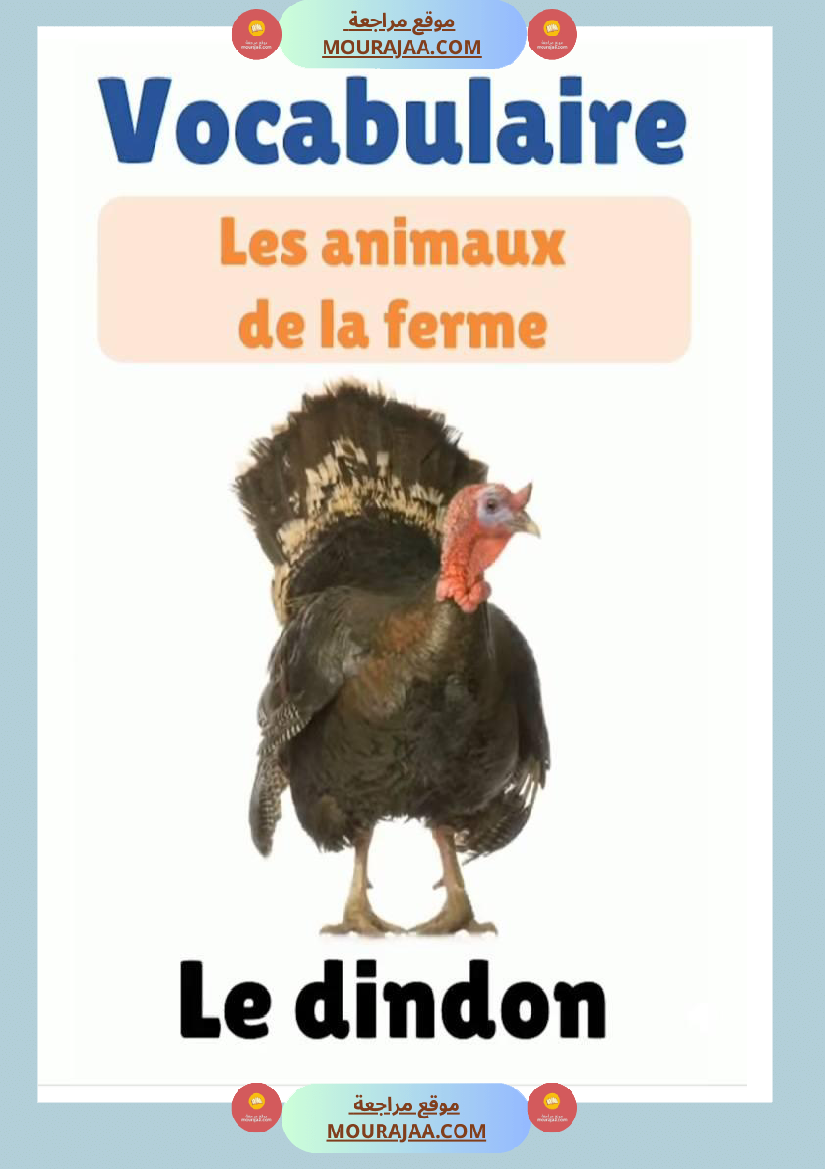 des animaux j apprends le francais 4eme
