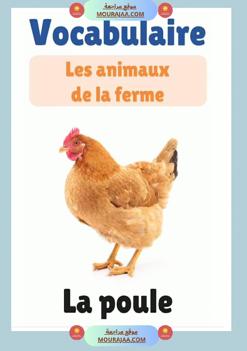 des animaux j apprends le francais 4eme