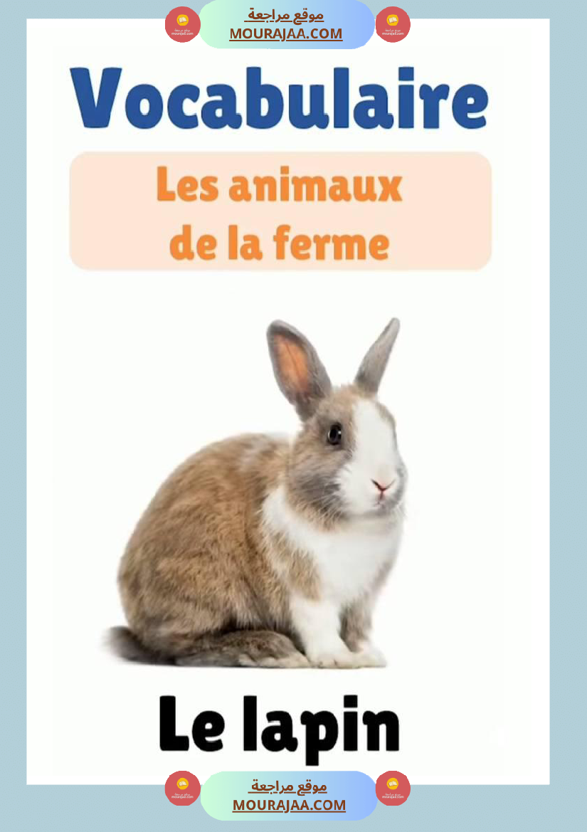 des animaux j apprends le francais 4eme