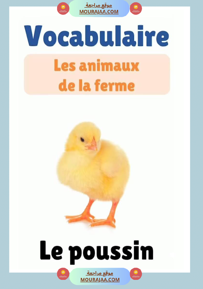 des animaux j apprends le francais 4eme