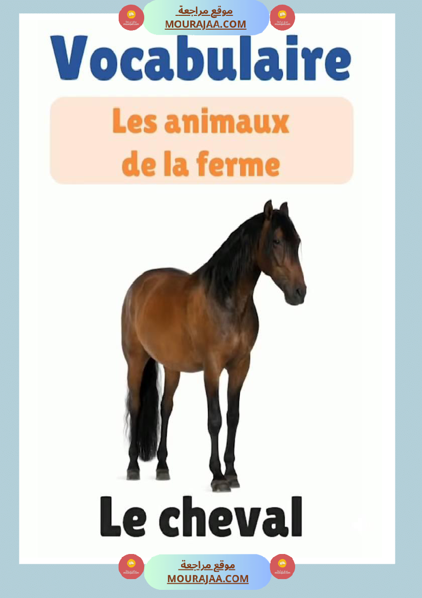 des animaux j apprends le francais 4eme