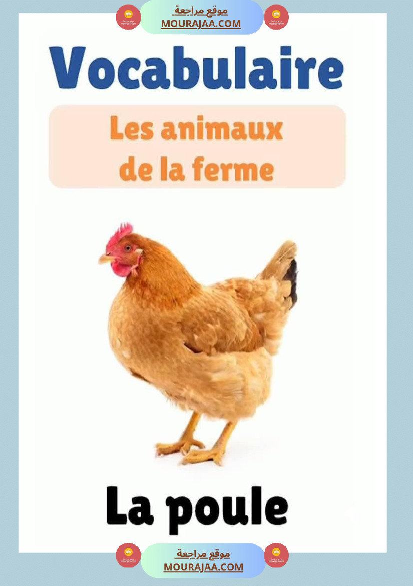 des animaux j apprends le francais 4eme