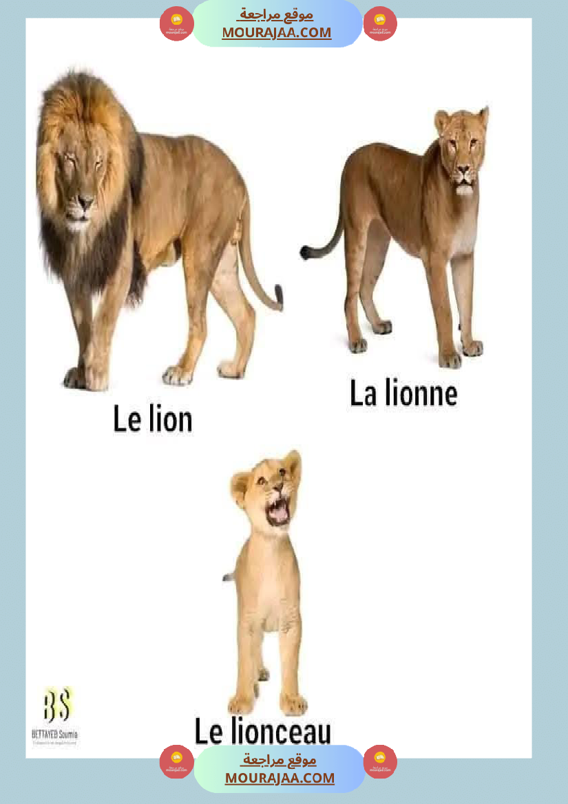 quelques familles d animaux 4eme