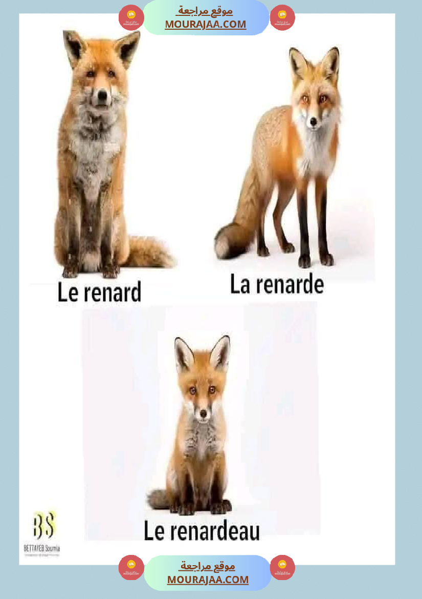 quelques familles d animaux 4eme