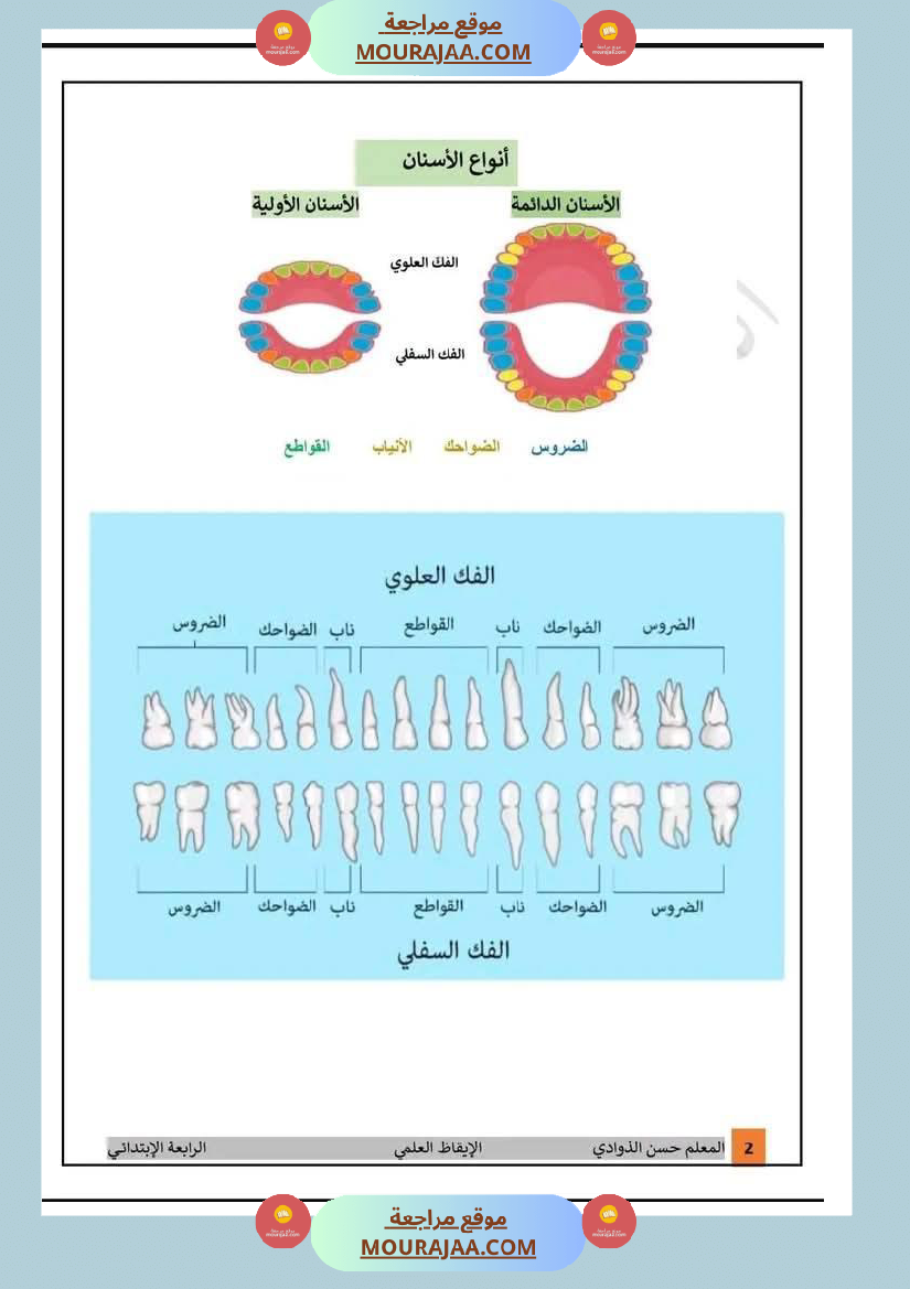 درس الأسنان مع إصلاح التمارين التطبيقية لأبطال السنة الرابعة