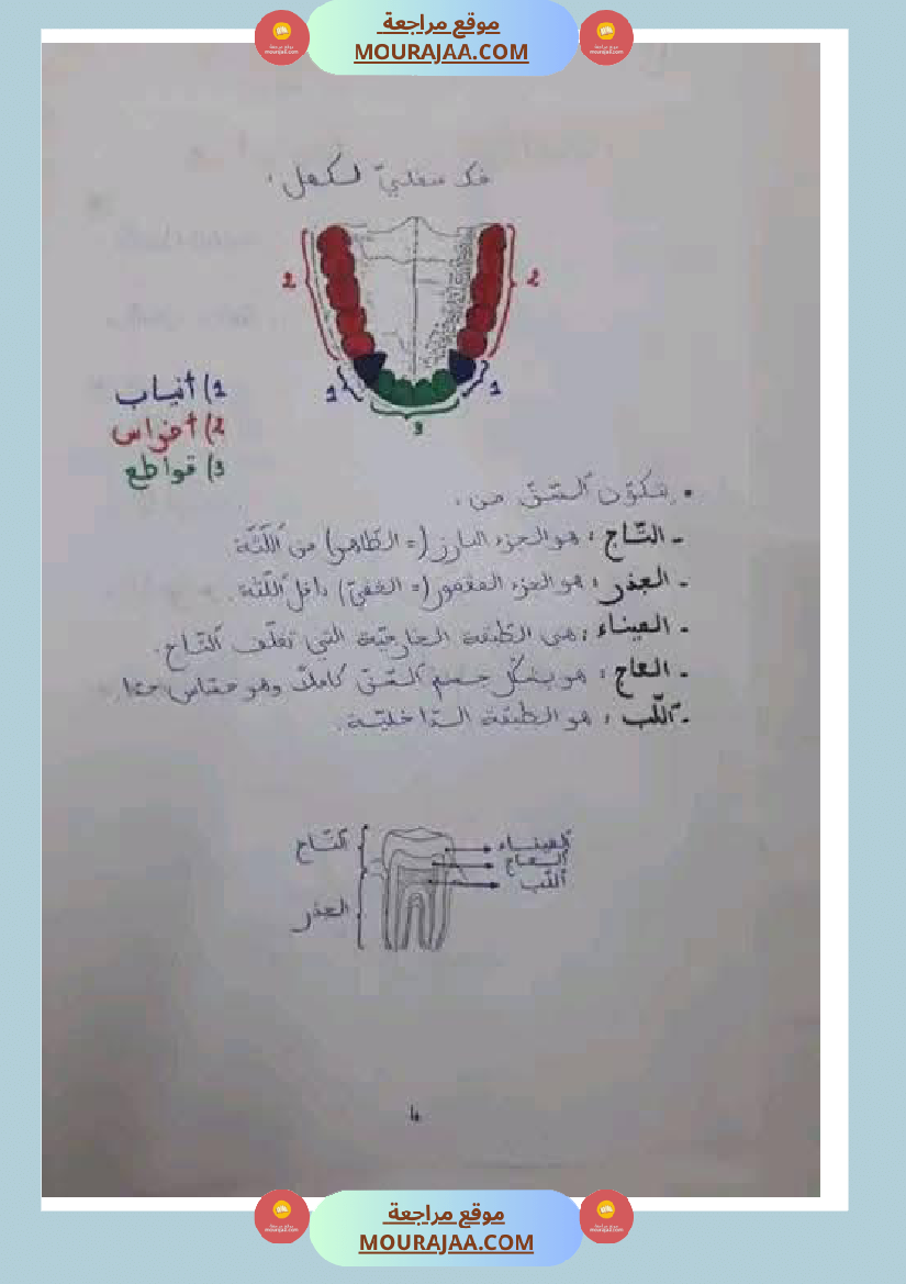 مراجعة شاملة ايقاظ علمي سنة الرابعة الثلاثي الثاني