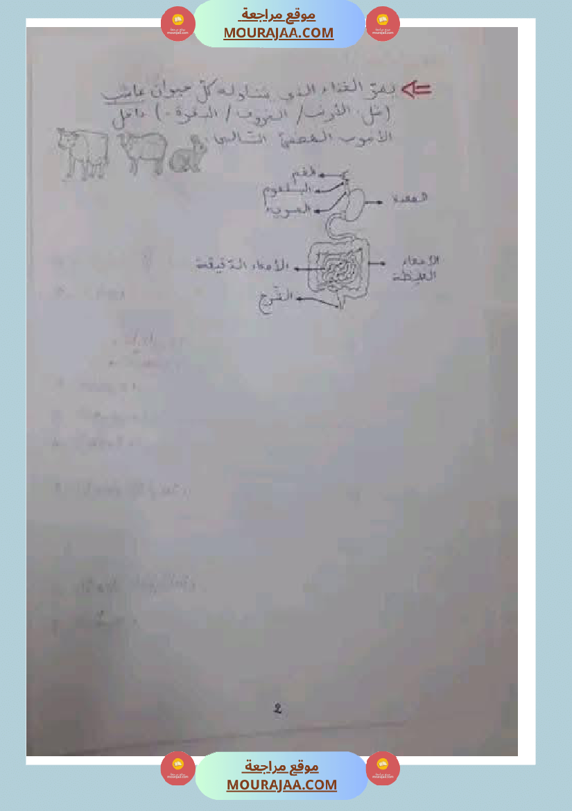 مراجعة شاملة ايقاظ علمي سنة الرابعة الثلاثي الثاني