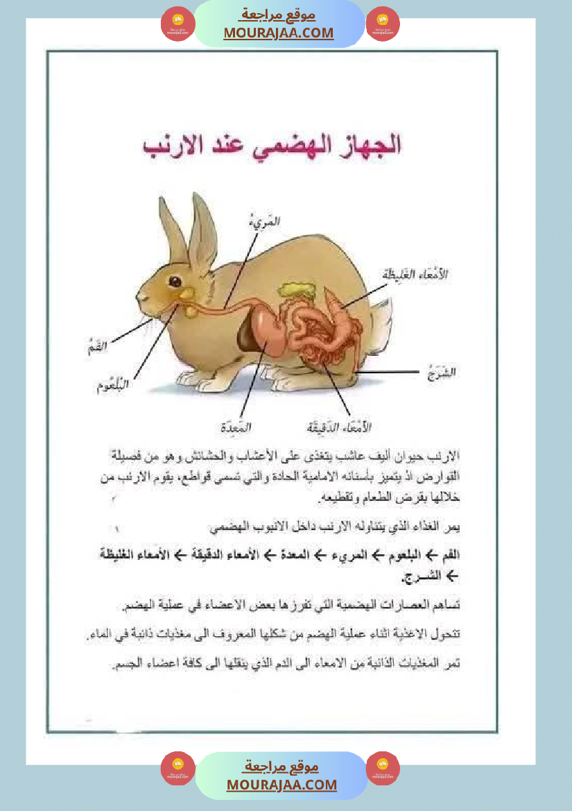 مراجعة شاملة ايقاظ علمي سنة الرابعة الثلاثي الثاني