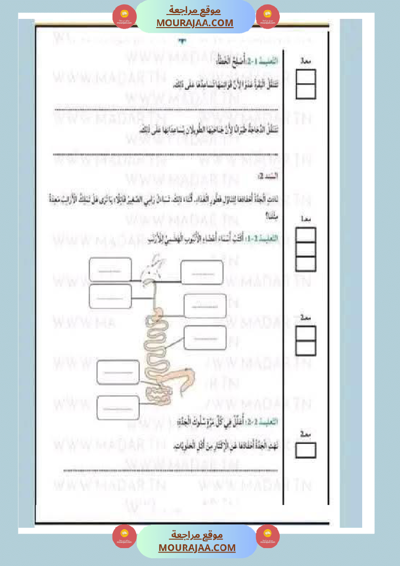 مراجعة شاملة ايقاظ علمي سنة الرابعة الثلاثي الثاني