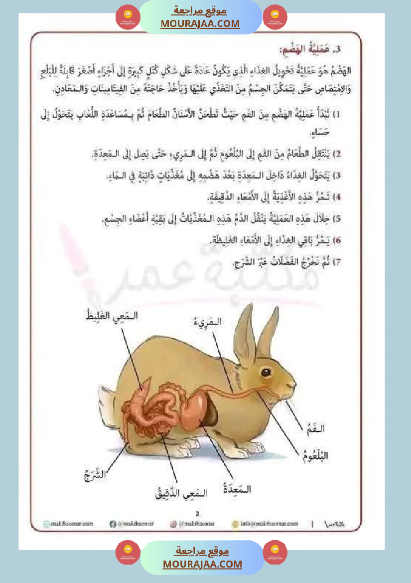 مراجعة شاملة ايقاظ علمي سنة الرابعة الثلاثي الثاني