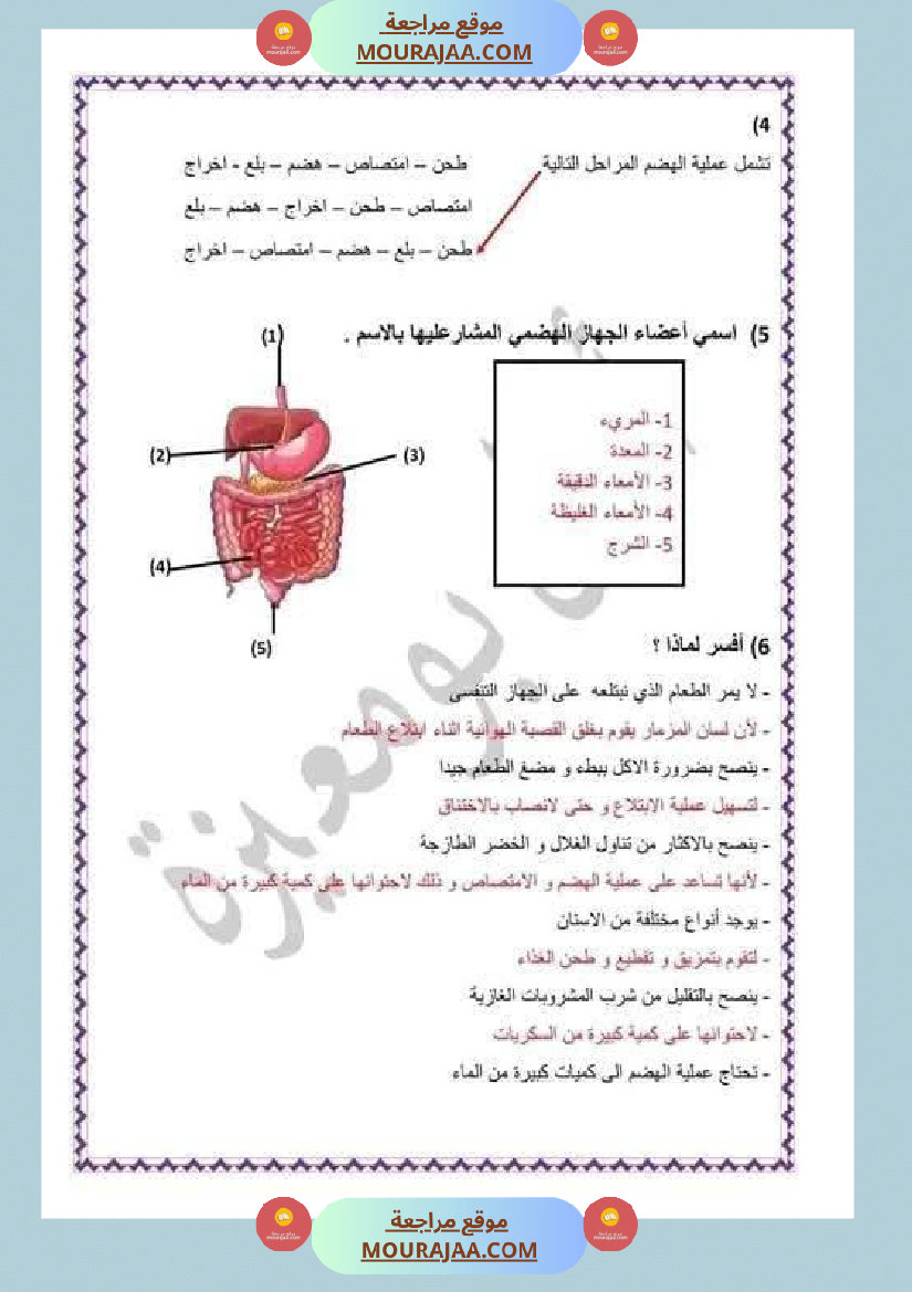 مراجعة شاملة ايقاظ علمي سنة الرابعة الثلاثي الثاني