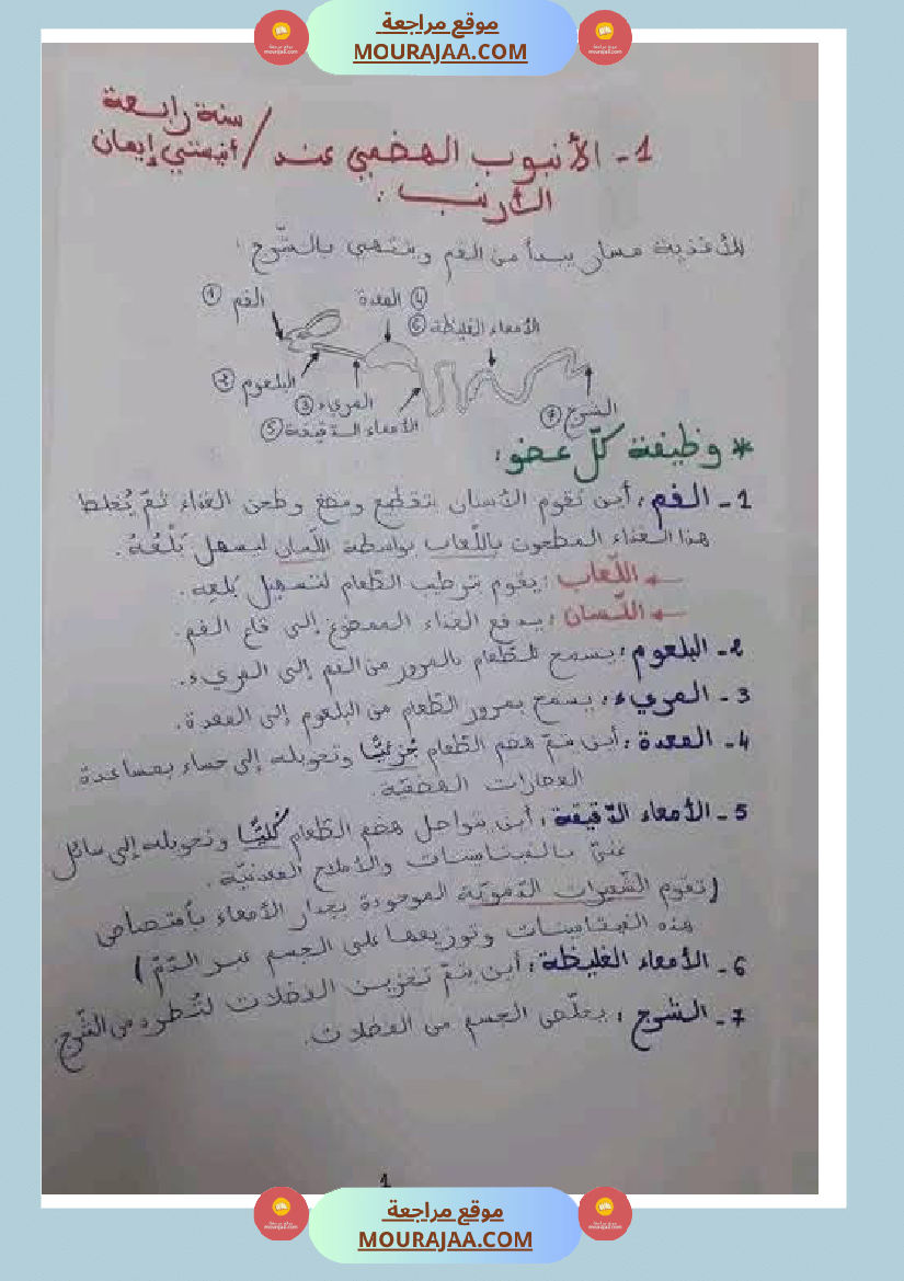 مراجعة شاملة ايقاظ علمي سنة الرابعة الثلاثي الثاني