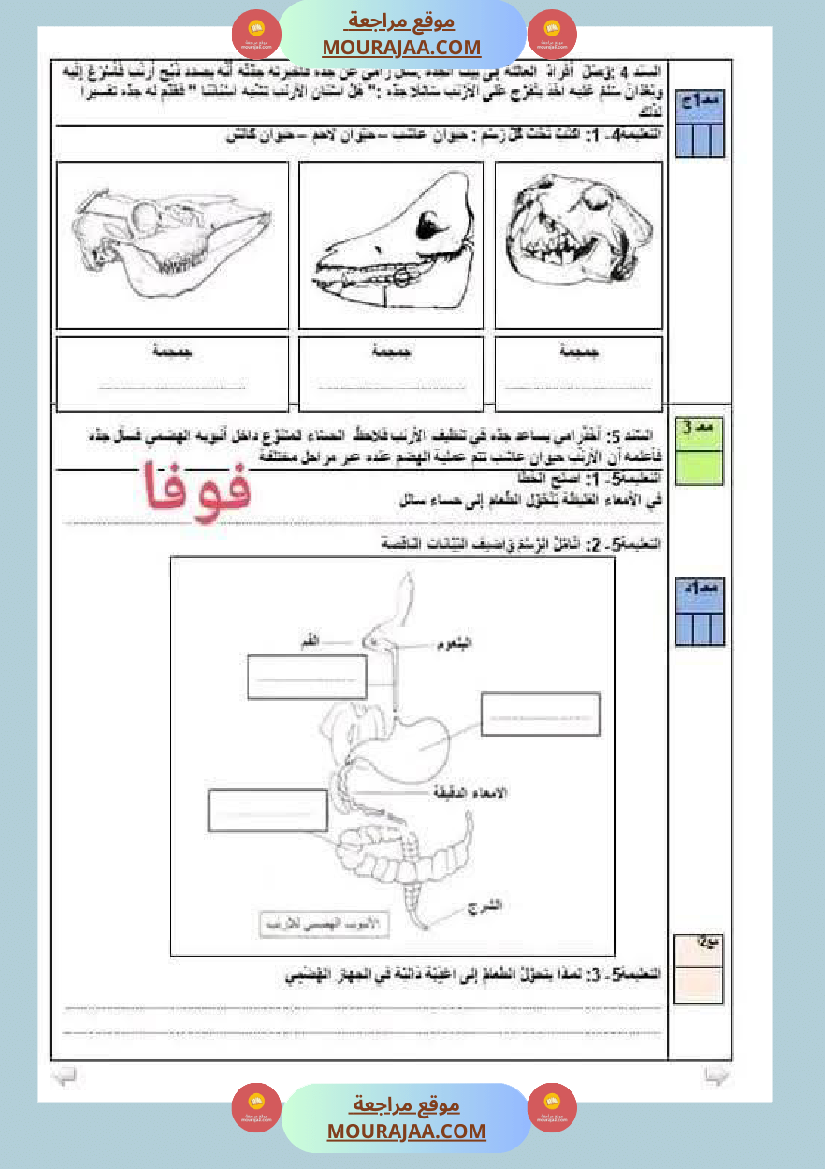 مراجعة شاملة ايقاظ علمي سنة الرابعة الثلاثي الثاني