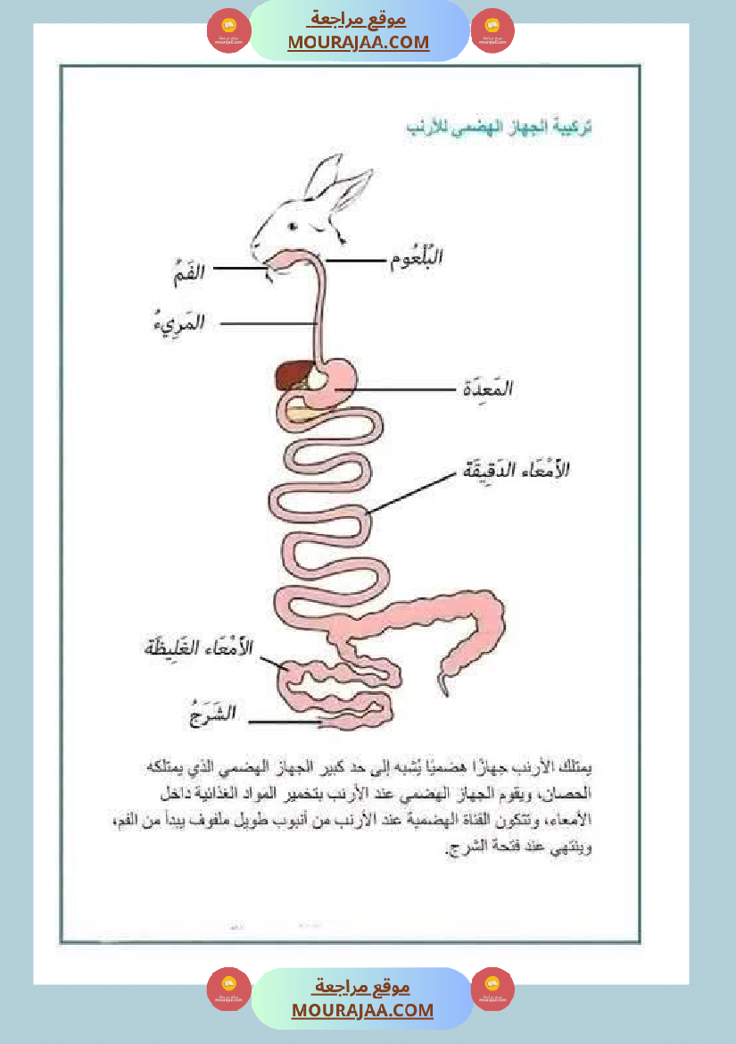 مراجعة شاملة ايقاظ علمي سنة الرابعة الثلاثي الثاني