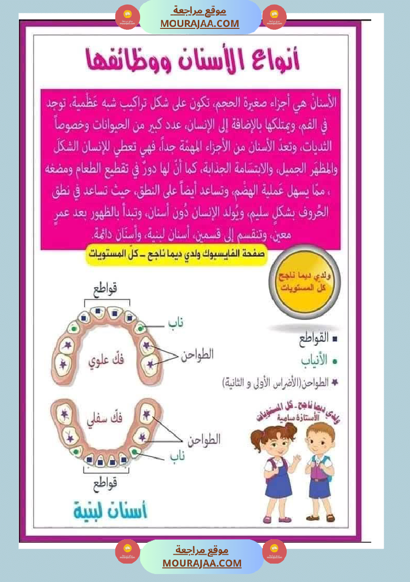 بحث حول الأسنان لأبطال السنة الرابعة