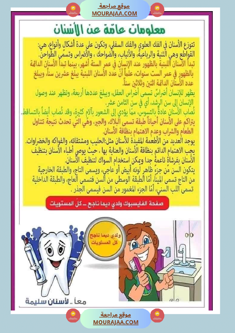 بحث حول الأسنان لأبطال السنة الرابعة