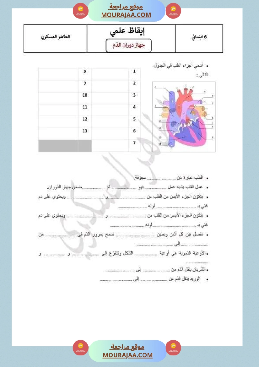 سنة سادسة ابتدائي ايقاظ علمي جهاز دوران الدم