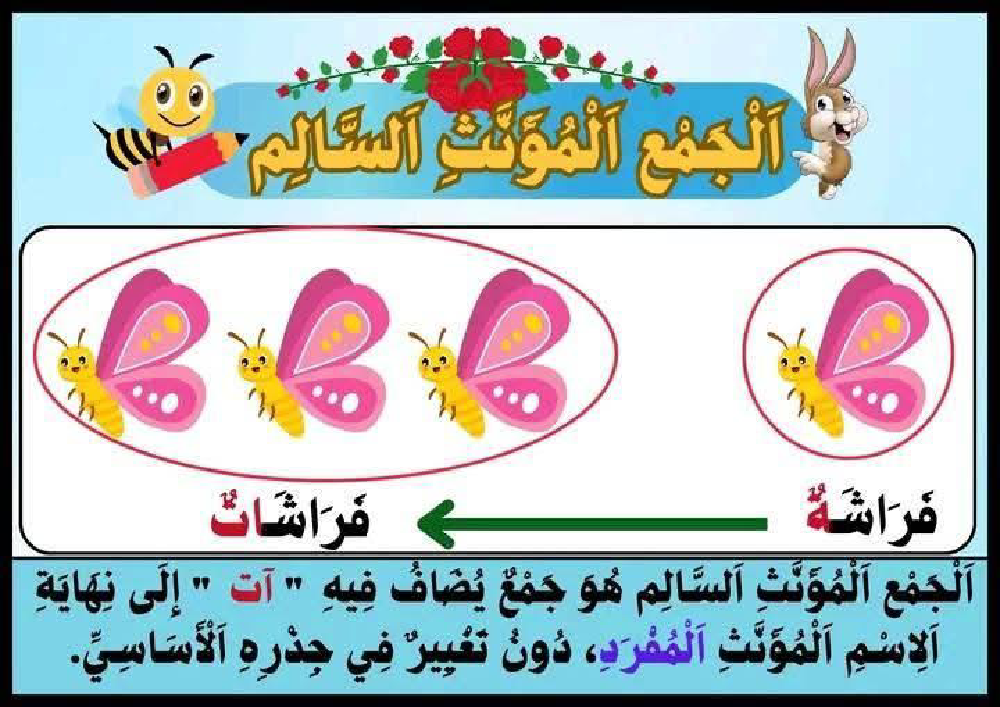 جداريات متفرقات من كل بستان زهرة سنة الثالثة