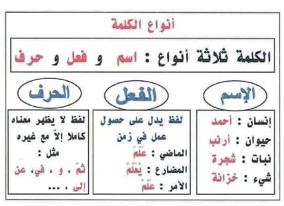 جداريات متفرقات من كل بستان زهرة سنة الثالثة