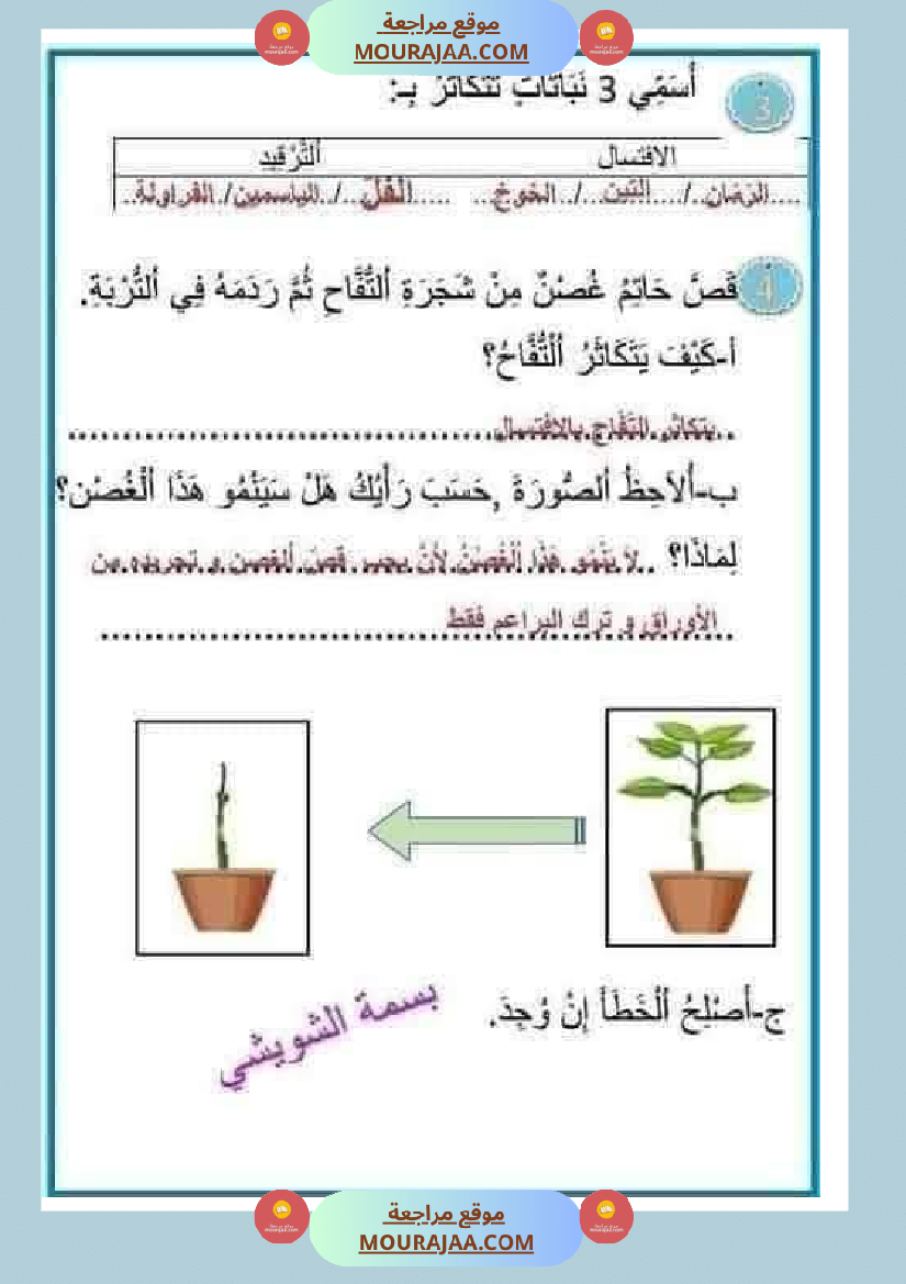إيقاظ علمي سنة رابعة ثلاثي الثالث 