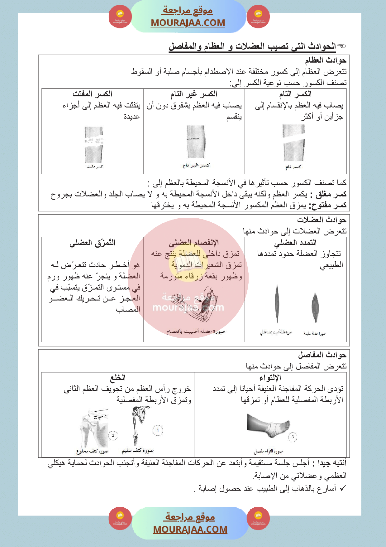 الهيكل العضمي و العضلات و المفاصل