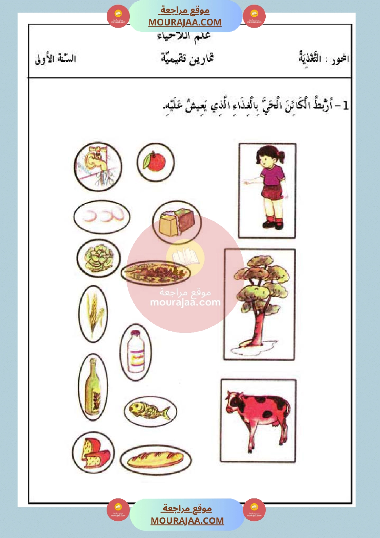 تمارين حول محور التغذية سنة أولى