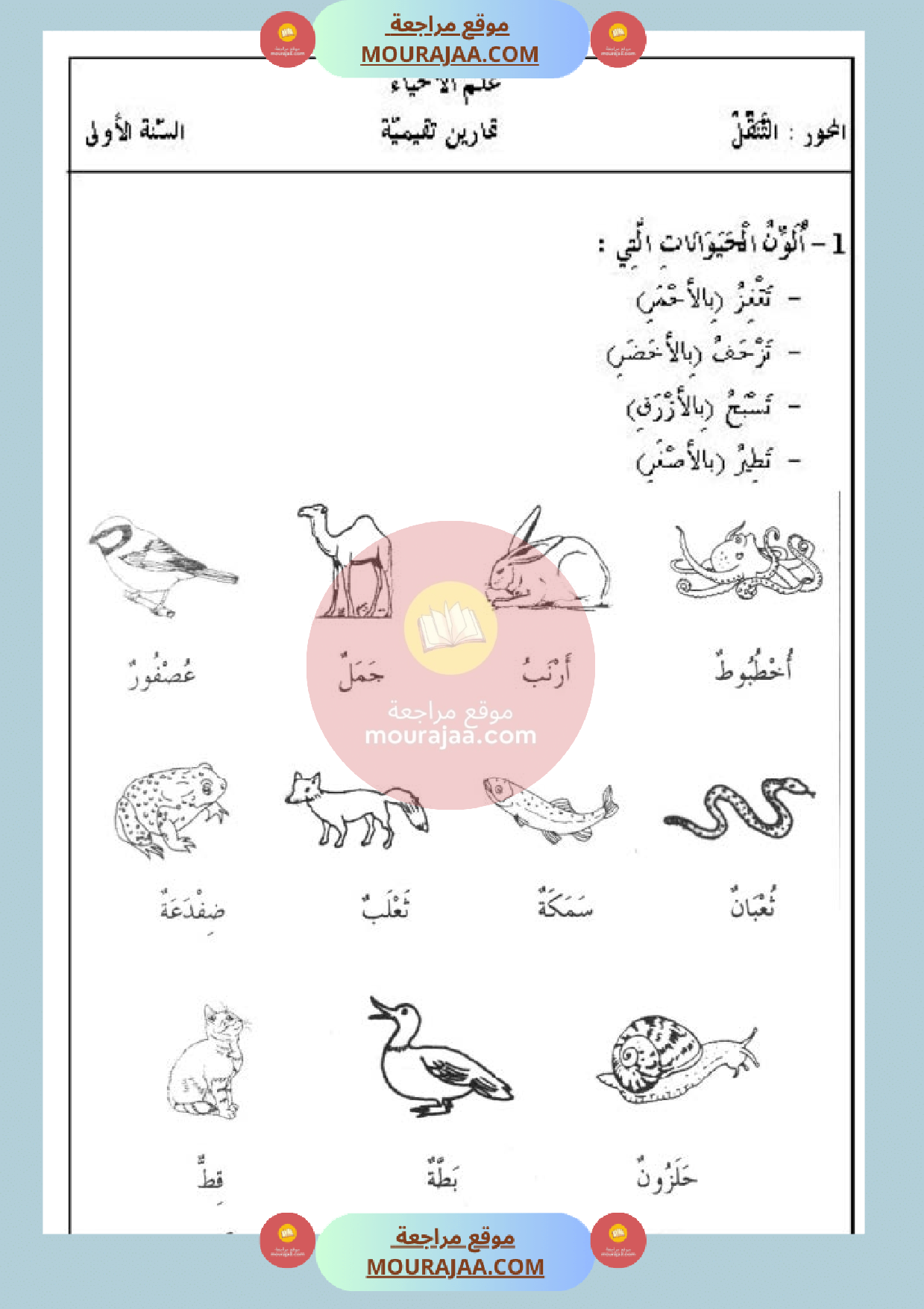 تمارين حول محور التنقل سنة أولى
