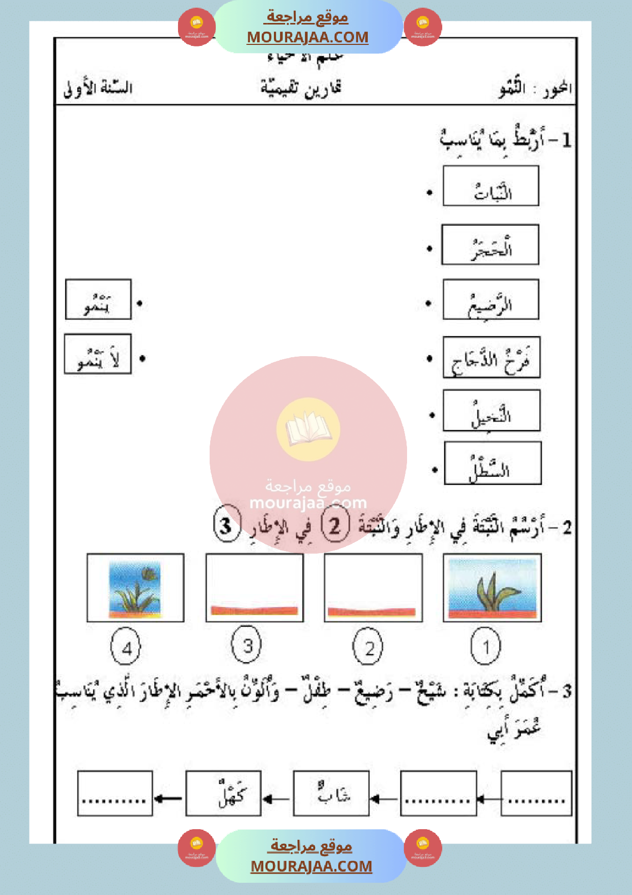 تمارين حول محور النمو سنة أولى