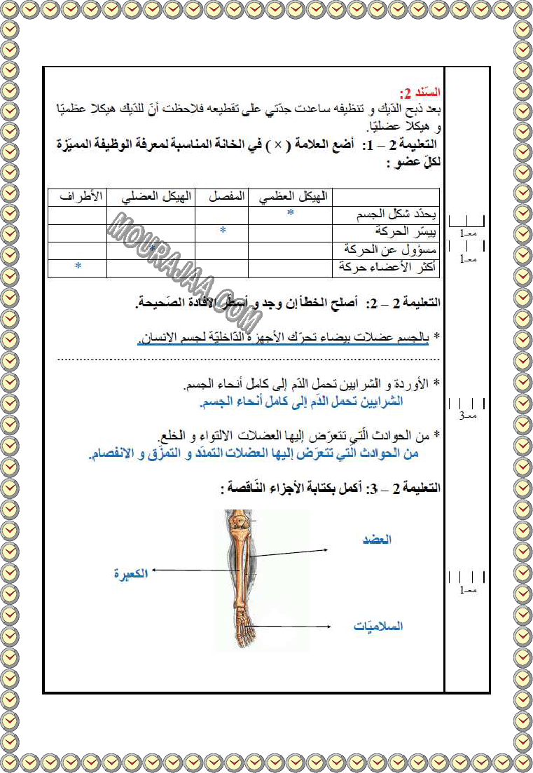 ايقاظ ثلاثي ثاني مع الاصلاح