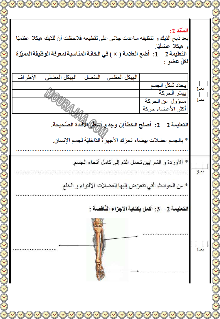 ايقاظ ثلاثي ثاني مع الاصلاح