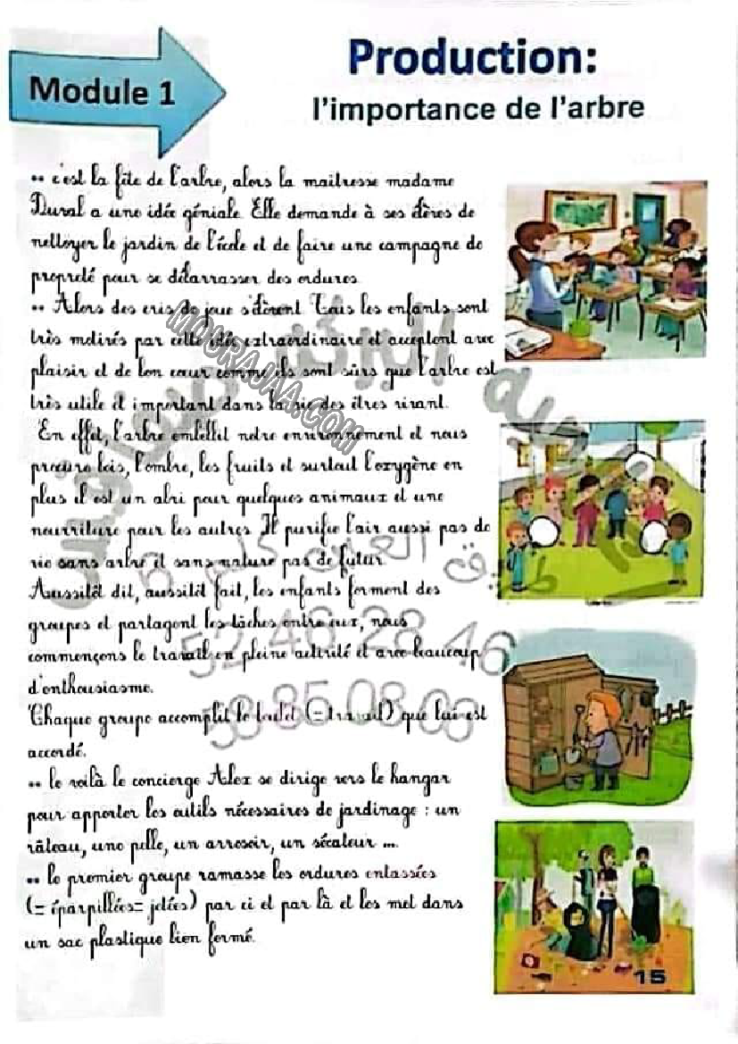 production l importance de l arbre