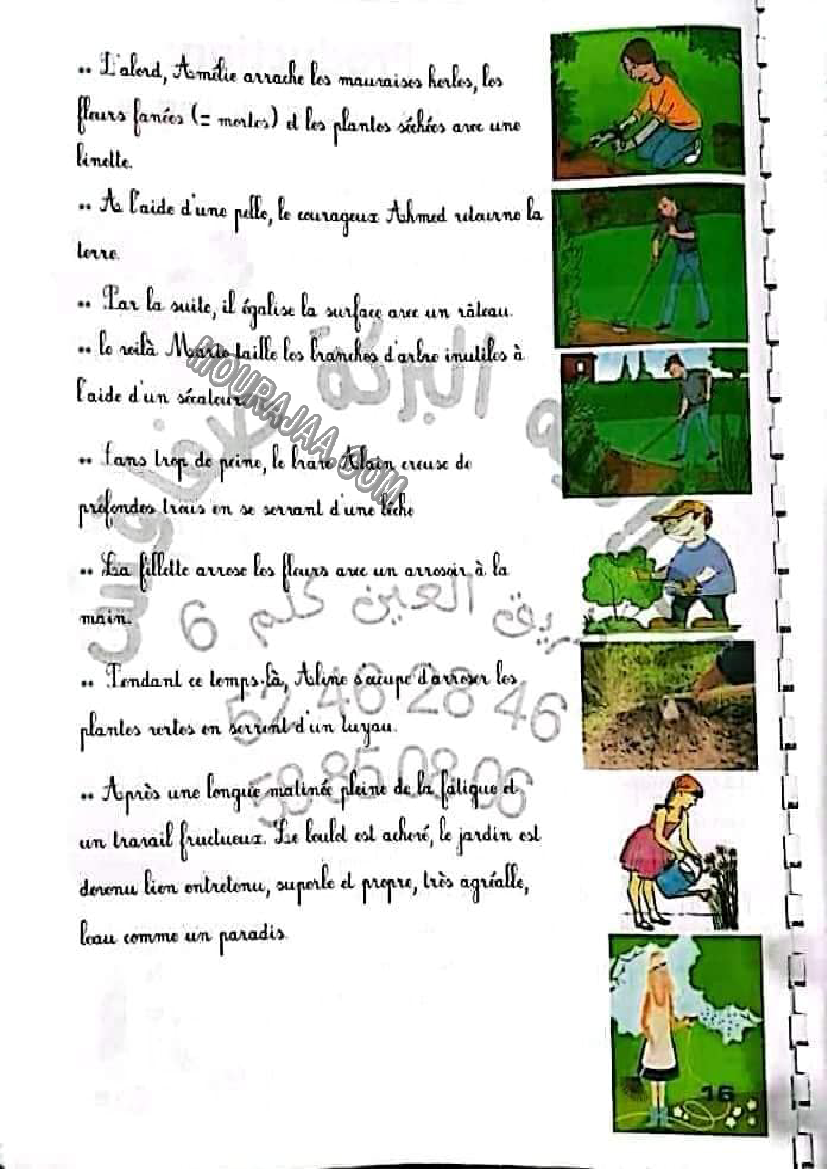 production l importance de l arbre