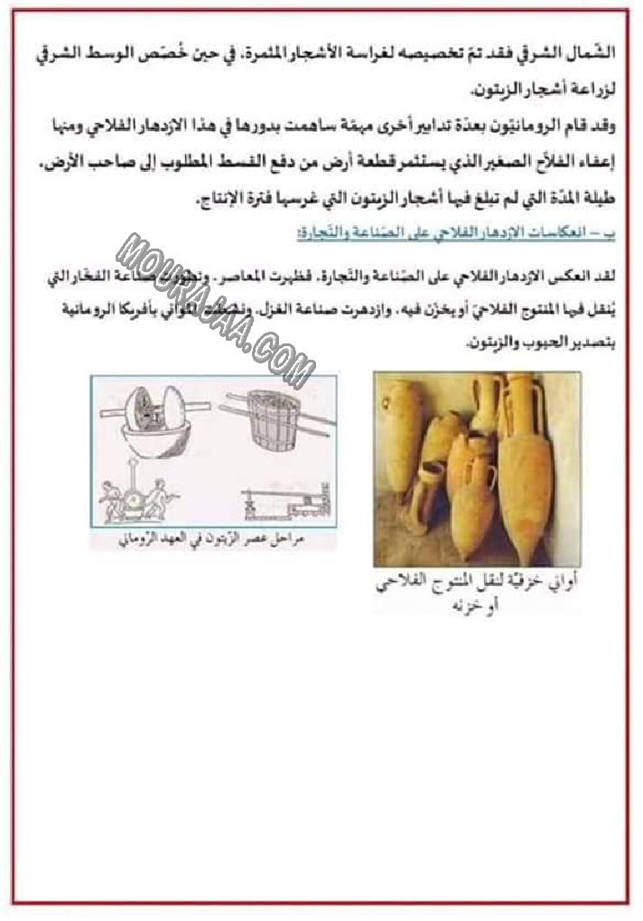 مظاهر الازدهار الحضاري لافريكا البونية الازدهار الاقتصادي