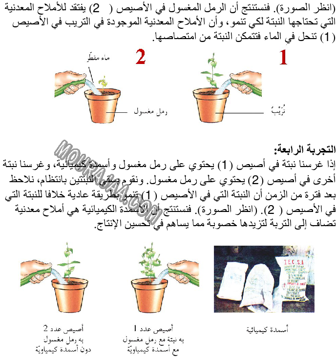 حاجة النبتة إلى الماء والأملاح المعدنية