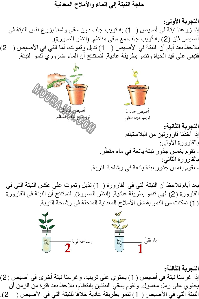 حاجة النبتة إلى الماء والأملاح المعدنية