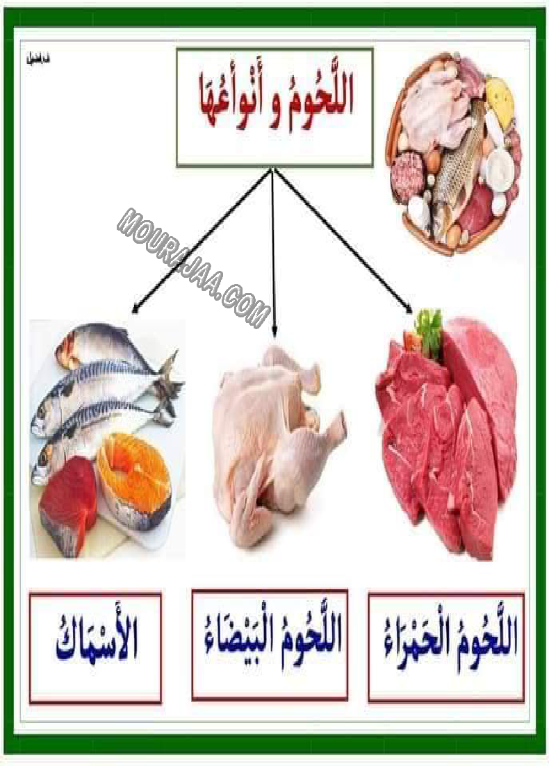 معلقات المجموعات الغذائية لتلاميذ السنة أولى و الثانية إبتدائي