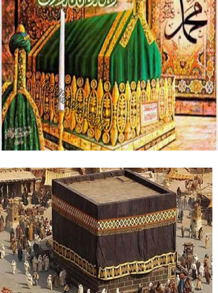 ولادة الرسول صل الله عليه وسلم