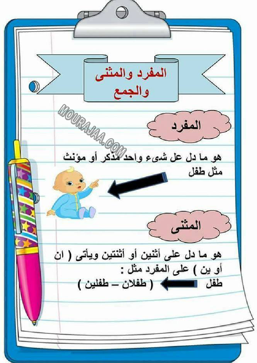 المفرد و المثنى و الجمع