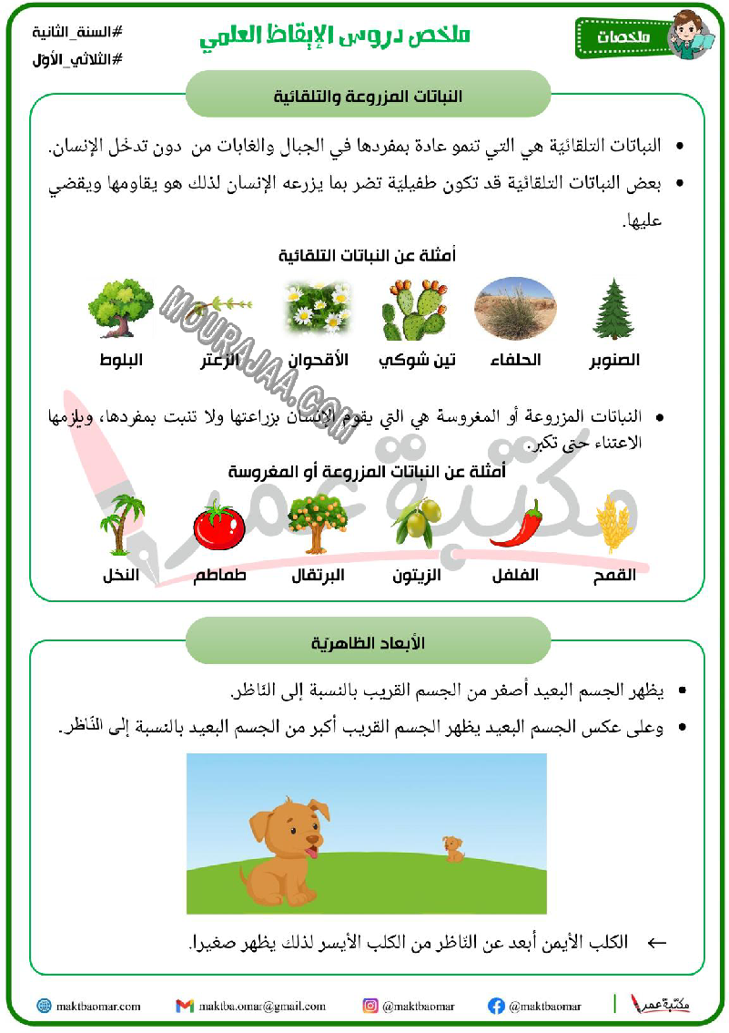 ملخص دروس الايقاظ العلمي سنة ثانية ثلاثي الاول
