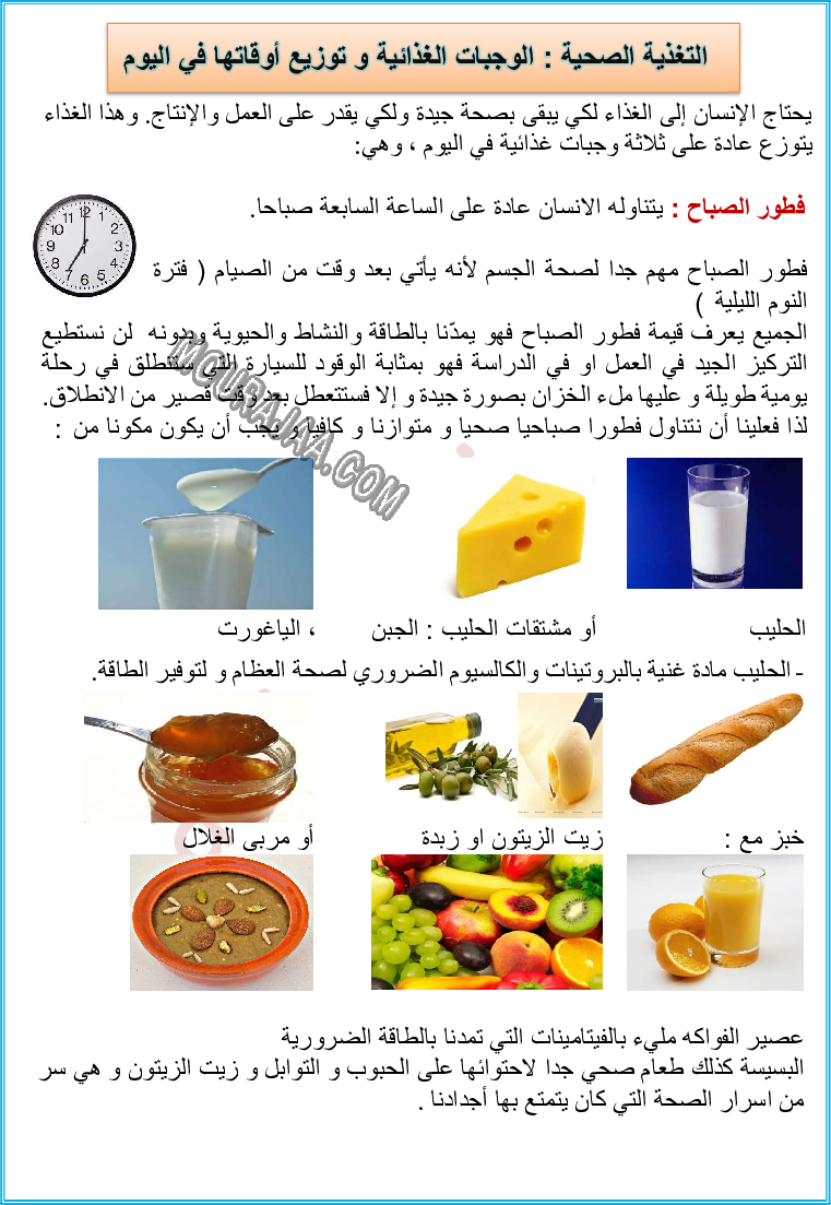 التغذية عند الانسان الوجبات الغذائية و مواعيدها