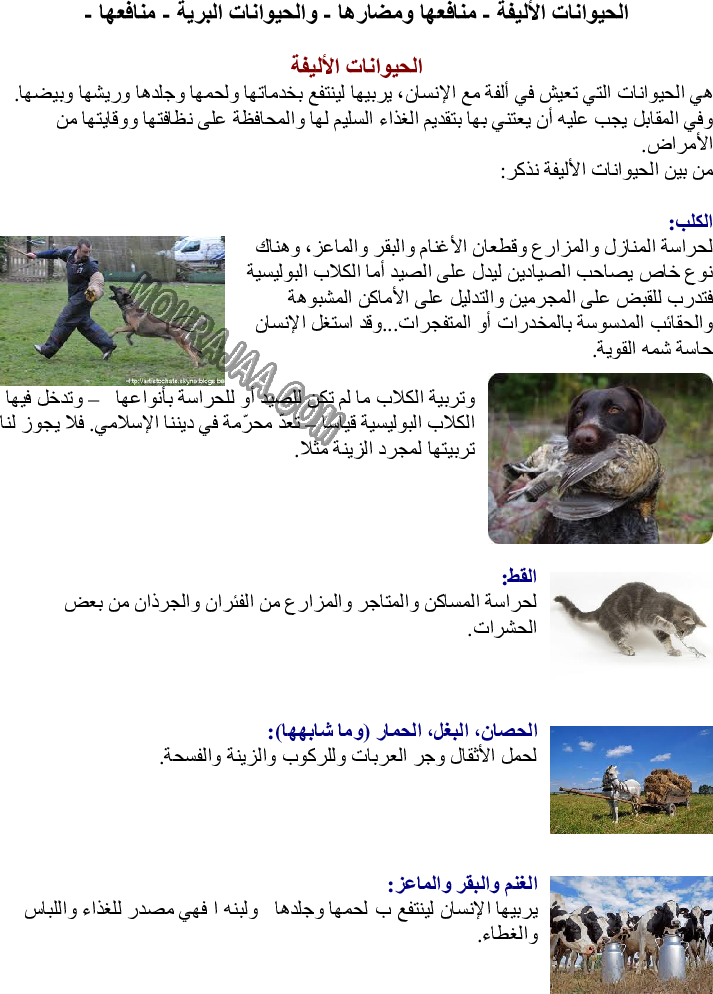 الحيوانات الأليفة - منافعها ومضارها - والحيوانات البرية - منافعها -