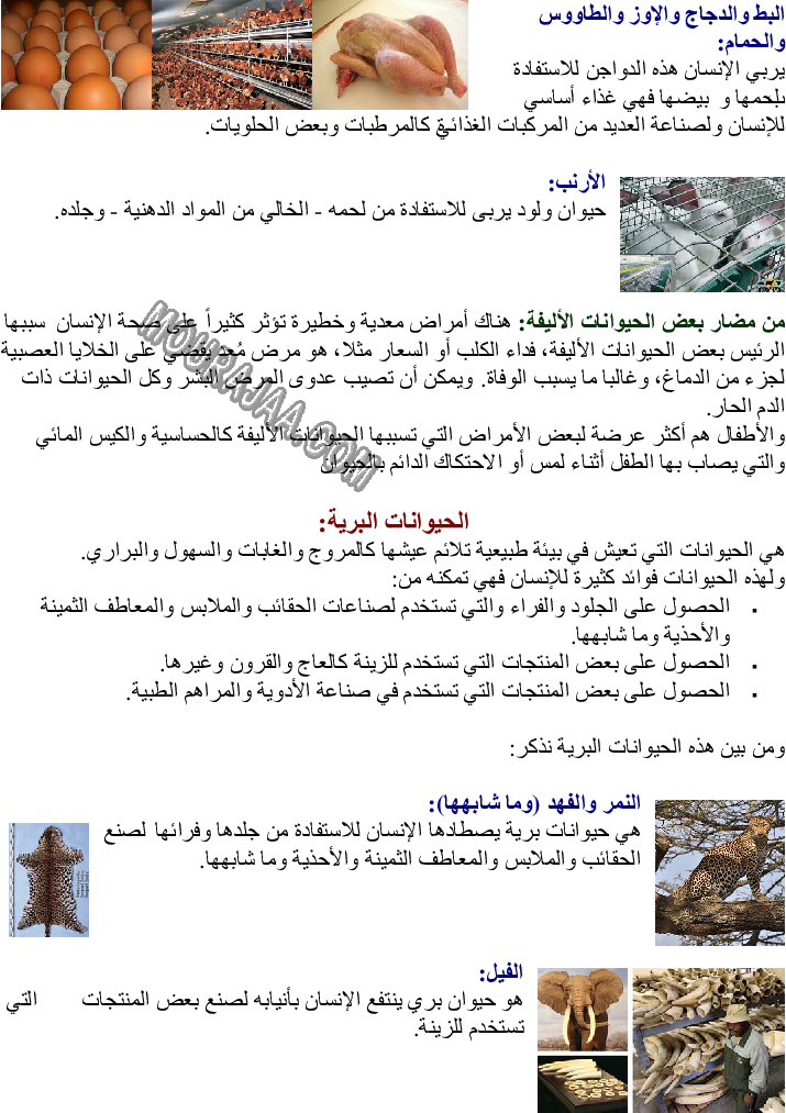 الحيوانات الأليفة - منافعها ومضارها - والحيوانات البرية - منافعها -