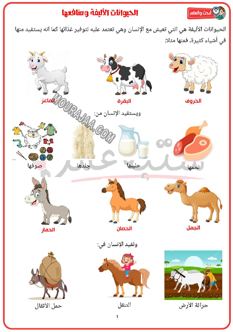 الحيوانات الاليفة و اماكن عيشها و منافعها 2022