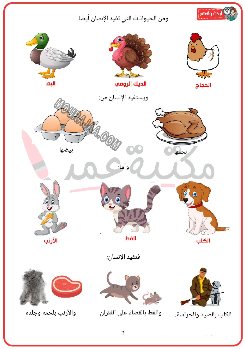 الحيوانات الاليفة و اماكن عيشها و منافعها 2022