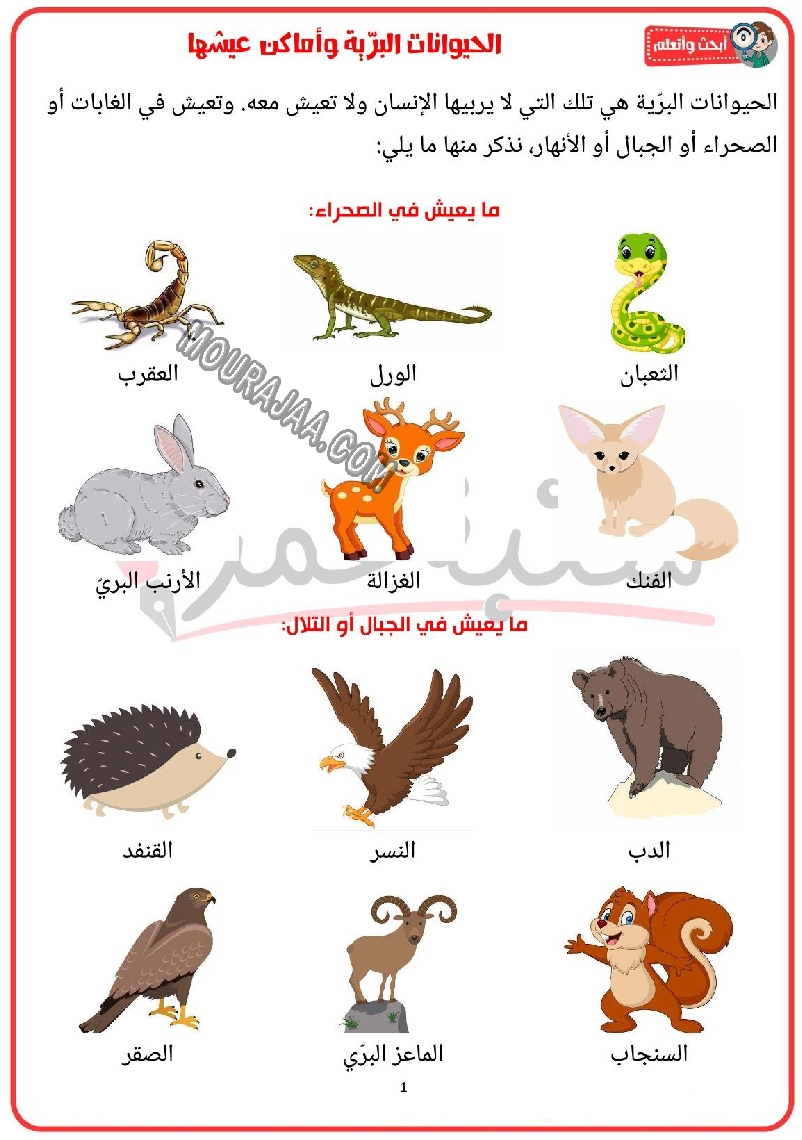 الحيوانات البرية و اماكن عيشها و منافعها 2022