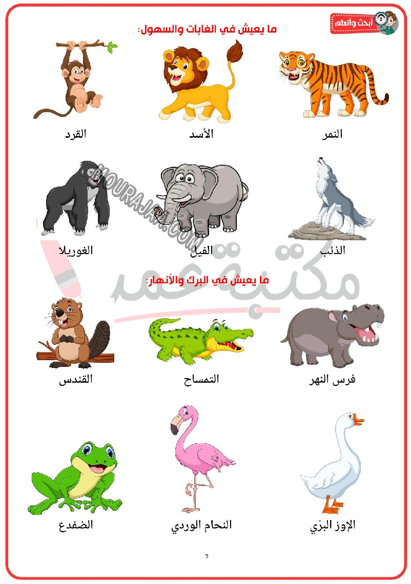 الحيوانات البرية و اماكن عيشها و منافعها 2022