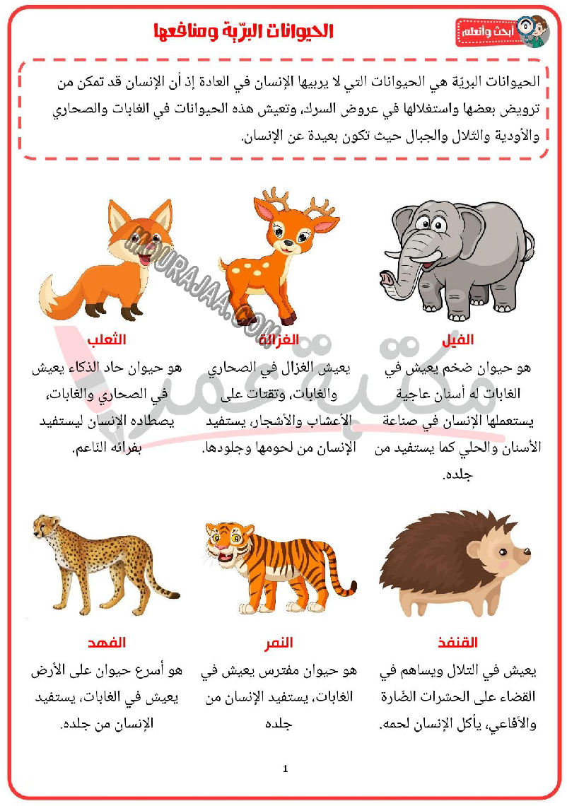 الحيوانات البرية و اماكن عيشها و منافعها 2022