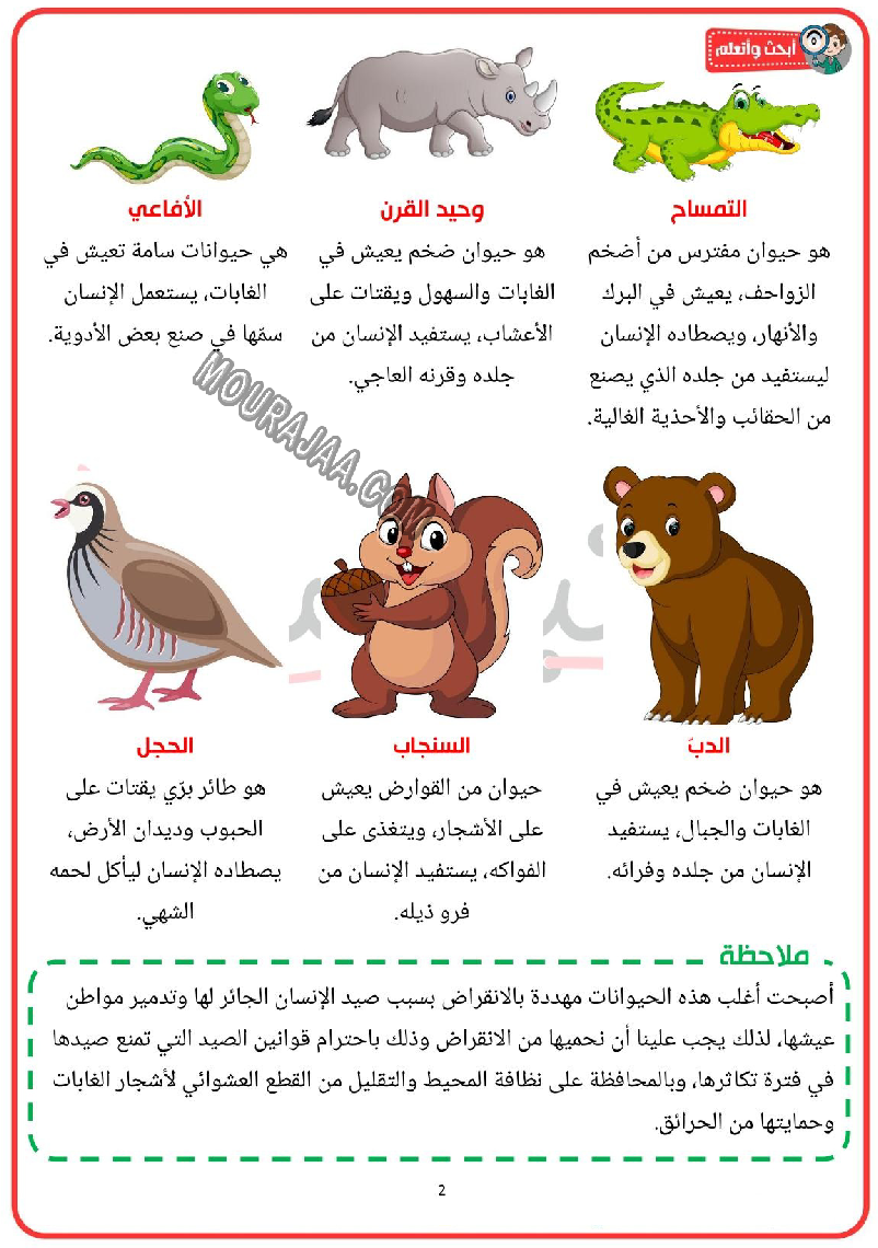 الحيوانات البرية و اماكن عيشها و منافعها 2022