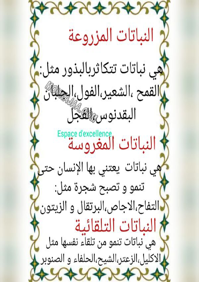 النباتات المزروعة و المغروسة و التلقائية 2022