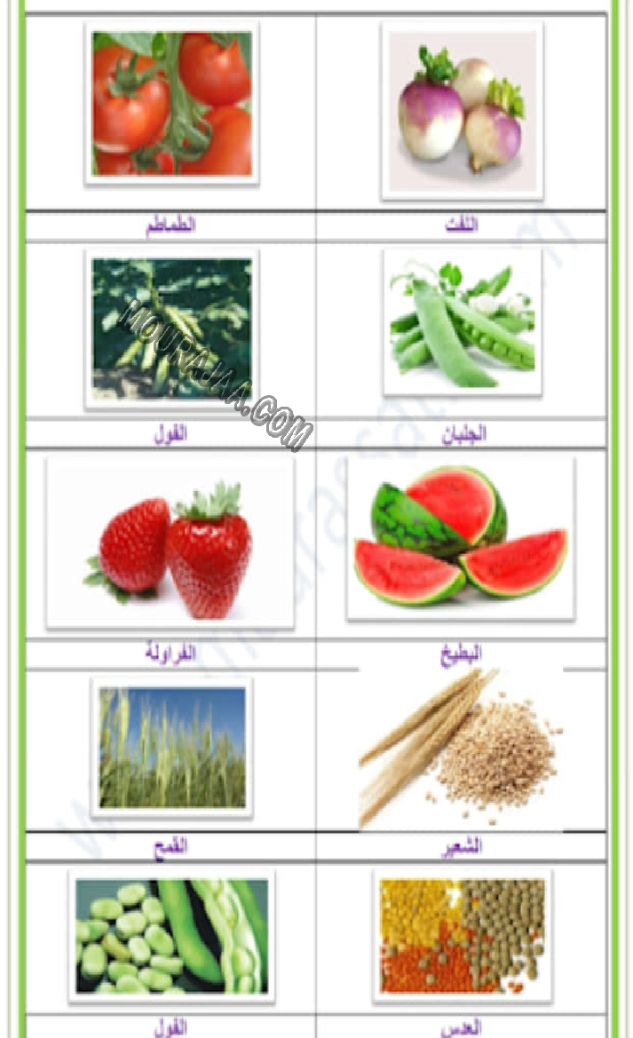 النباتات المزروعة و المغروسة و التلقائية 2022